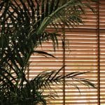 Home Blossom and Roller Blinds