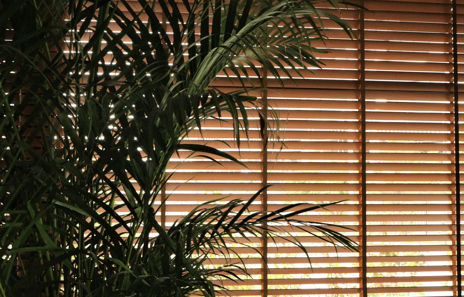 Home Blossom and Roller Blinds