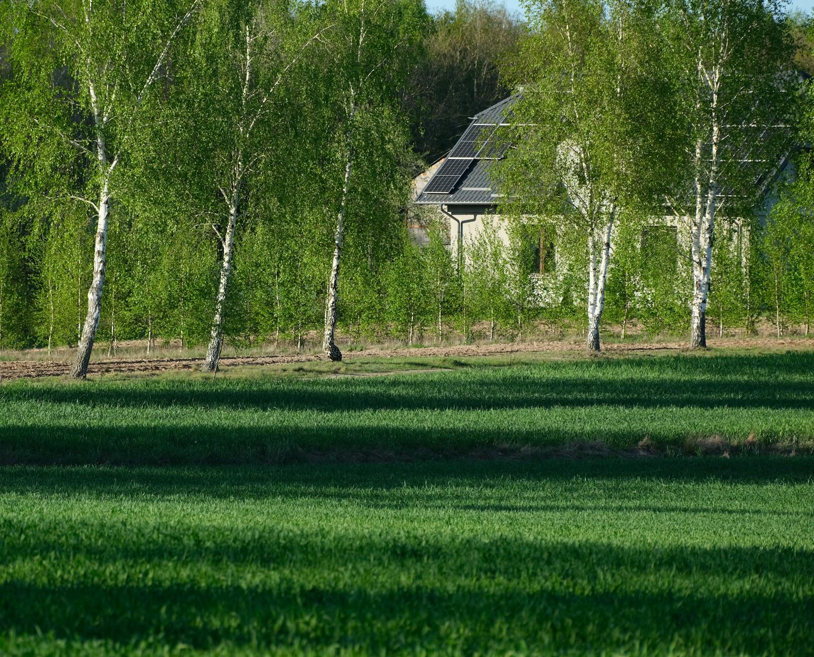 Dom energooszczędny z panelami fotowoltaicznymi w otoczeniu zieleni